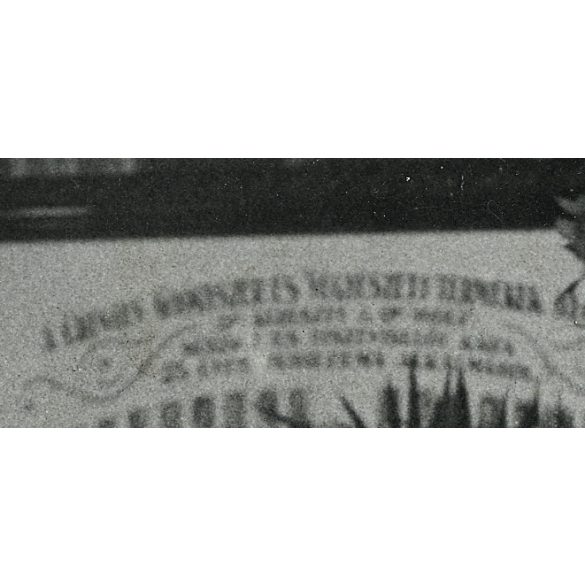 Nagyobb méret, Pannonia szálló télikertje, Budapest, Astoria, Wolf Emil gyárának (CHINOIN) jubileumi ünnepsége, Horthy-korszak, helytörténet, 1935, 1930-as évek, Eredeti pecséttel jelzett fotó, hátulj