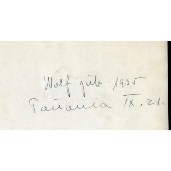 Nagyobb méret, Pannonia szálló télikertje, Budapest, Astoria, Wolf Emil gyárának (CHINOIN) jubileumi ünnepsége, Horthy-korszak, helytörténet, 1935, 1930-as évek, Eredeti pecséttel jelzett fotó, hátulj