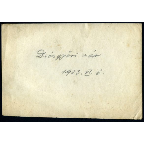 A vár és környéke, Diósgyőr (Miskolc), Horthy-korszak, helytörténet, 1923, 1920-as évek, Eredeti fotó, papírkép. 