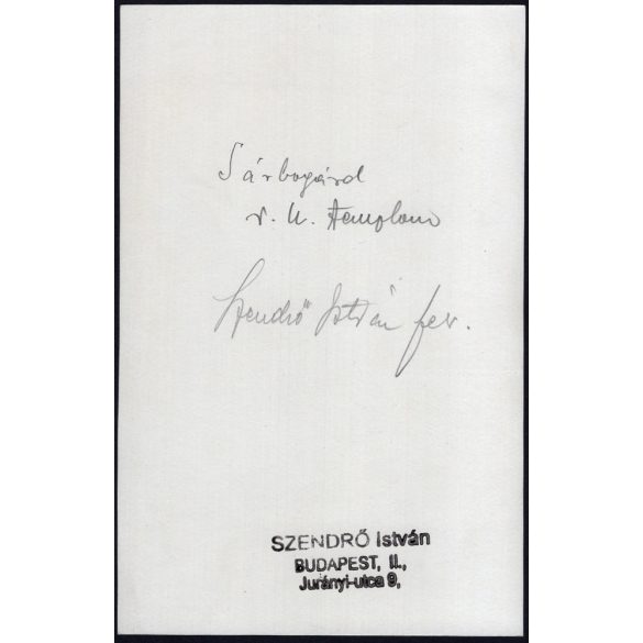 Nagyobb méret, Szendrő István fotóművészeti alkotása, a sárbogárdi Szent László király római katolikus templom, Sárbogárd, Fejér megye, egyház, templom, vallás, 1930-as évek. 