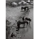 Nagyobb méret, Szendrő István fotóművészeti alkotása, állatvásár az Alföldön, állatok, lovasszekér, 1930-as évek. Eredeti, pecséttel jelzett fotó, papírkép, Agfa Brovira papíron. 