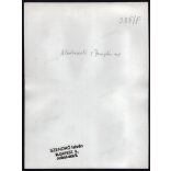 Nagyobb méret, Szendrő István fotóművészeti alkotása, fiatalok népviseletben, Alsóberecki, Borsod-Abaúj-Zemplén megye, Gyöngyösbokréta mozgalom, népviselet, kalap, szoknya, mellény, kendő, 