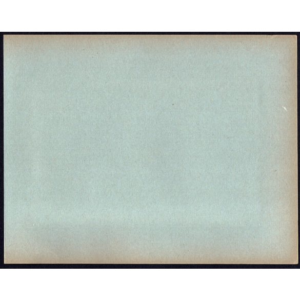 Nagyobb méret, Szatmárnémeti, Erdély, a Magyar Királyi Államvasutak Fiúnevelő Intézetének és Árvaházának megnyitója. A résztvevők között híres nemesek, politikusok és egyházi vezetők, 1941. 