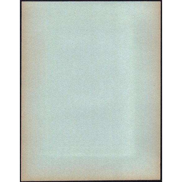 Nagyobb méret, Szatmárnémeti, Erdély, Horthy Istvánné (Edelsheim-Gyulai Ilona) a Magyar Királyi Államvasutak Fiúnevelő Intézetének és Árvaházának megnyitóján. Horthy-korszak, 2. világháború