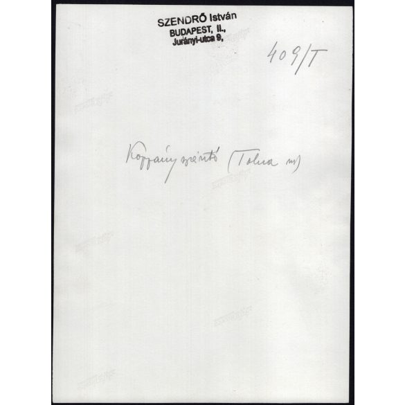 Nagyobb méret, Szendrő István fotóművészeti alkotása, fiatalok koppányszántói népviseletben, Koppányszántó, Tolna megye, Gyöngyösbokréta mozgalom, népviselet, kalap, szoknya, kendő, 1930-as évek.