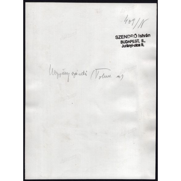 Nagyobb méret, Szendrő István fotóművészeti alkotása, fiatal lány koppányszántói népviseletben, Gyöngyösbokréta mozgalom, Koppányszántó, Tolna megye, népviselet, díszes ruha, 