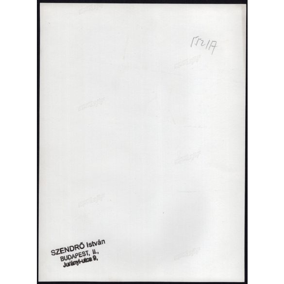 Nagyobb méret, Szendrő István fotóművészeti alkotása, postáskisasszonyok munka közben, levelekkel, csomagokkal, 1930-as évek. Eredeti, pecséttel jelzett fotó, papírkép, Agfa Brovira papíron. 