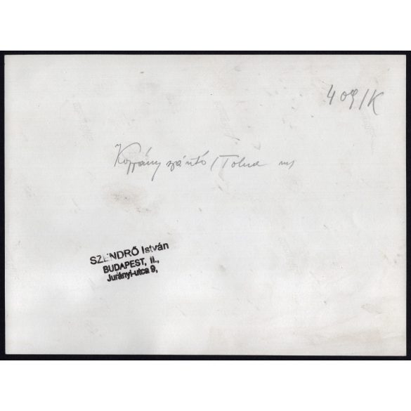 Nagyobb méret, Szendrő István fotóművészeti alkotása, fiatal lányok koppányszántói népviseletben, Gyöngyösbokréta mozgalom, Koppányszántó, Tolna megye, népviselet, szoknya, kendő, 1930-as évek. 