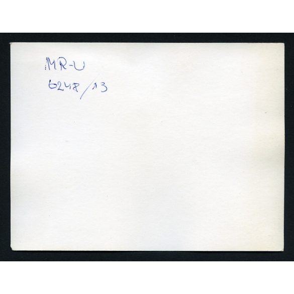 Dutra traktor fűkaszával, mezőgazdaság, jármű, 1950-es évek, szocializmus, Eredeti fotó, hátulján feliratozott papírkép.   