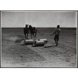 Földművelés földhengerrel, lovak, ostor, kalap, Magyarország, utcakép, Horthy-korszak, földművelés, vidék, helytörténet, 1930-as évek, Eredeti fotó, papírkép.  