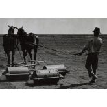 Földművelés földhengerrel, lovak, ostor, kalap, Magyarország, utcakép, Horthy-korszak, földművelés, vidék, helytörténet, 1930-as évek, Eredeti fotó, papírkép.  