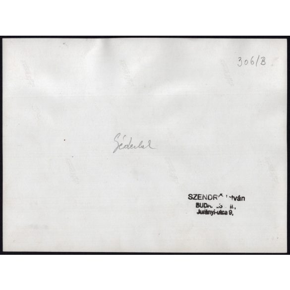 Nagyobb méret, Szendrő István fotóművészeti alkotása, hölgyek géderlaki népviseletben, Gyöngyösbokréta mozgalom, Géderlak, Bács-Kiskun megye, népviselet, szoknya, minta, kendő, 1930-as évek. 