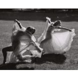 Nagyobb méret, Szendrő István fotóművészeti alkotása, fátyollal a Margit-szigeten, balett, Budapest, 1930-as évek. Eredeti, pecséttel jelzett fotó, papírkép, Agfa Brovira papíron. 