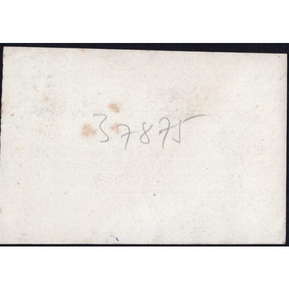 Szarvasmarhák az itatónál, Magyarország, vidék, tanya, utcakép, Horthy-korszak, állatok, tó, helytörténet, 1930-es évek, Eredeti fotó, papírkép.   