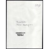 Nagyobb méret, Szendrő István fotóművészeti alkotása, Gyöngyösbokréta mozgalom, fiatal lány bácskertesi népviseletben, Bácskertes, Vajdaság, Szerbia, népviselet, 1930-as évek. 