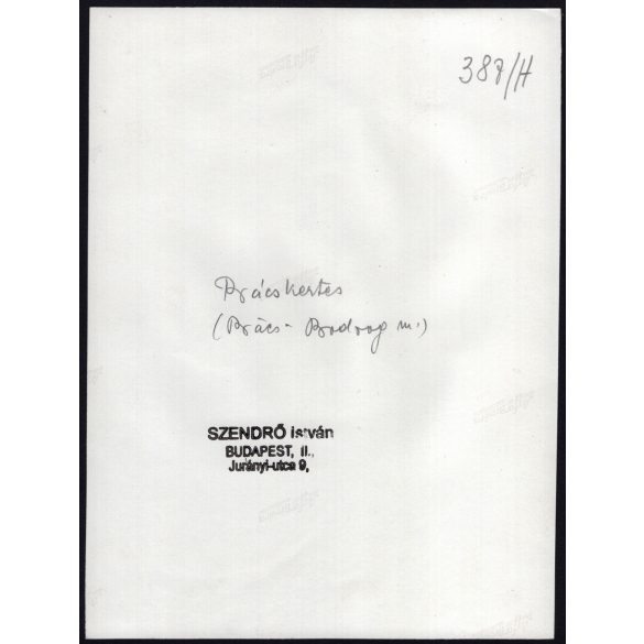 Nagyobb méret, Szendrő István fotóművészeti alkotása, Gyöngyösbokréta mozgalom, fiatal lány bácskertesi népviseletben, Bácskertes, Vajdaság, Szerbia, népviselet, 1930-as évek. 