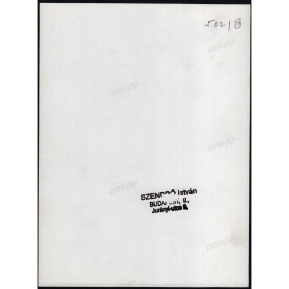 Nagyobb méret, Szendrő István fotóművészeti alkotása, balerina szoknyában a tóparton, háttérben autó, árnyék, közlekedéstörténet, 1930-as évek. 