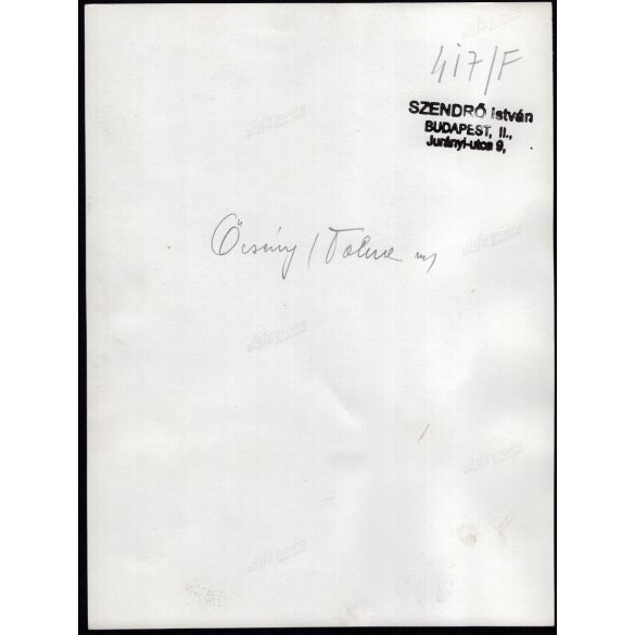 Nagyobb méret, Szendrő István fotóművészeti alkotása, Gyöngyösbokréta mozgalom, lányok őcsényi népviseletben, Őcsény, Baranya megye, népviselet, fejdísz, kendő, 1930-as évek. 