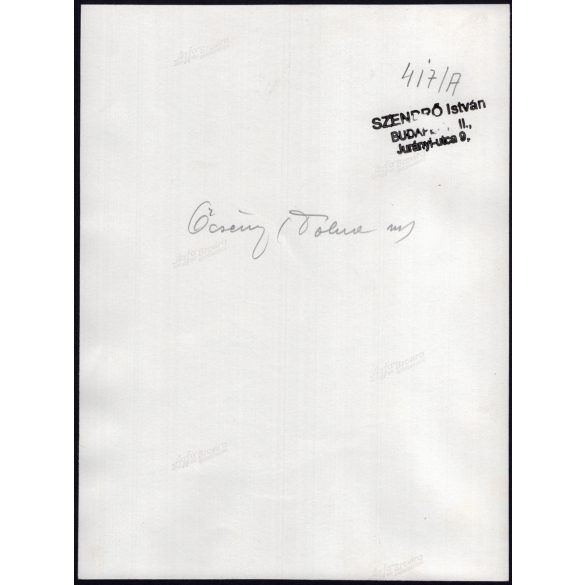 Nagyobb méret, Szendrő István fotóművészeti alkotása, Gyöngyösbokréta mozgalom, őcsényi népviseletben, Őcsény, Tolna megye, népviselet, szoknya, kendő, 1930-as évek. 