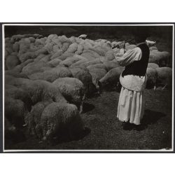   Birkapásztor az állatok mellett, furulyával, Magyarország, Horthy-korszak, népviselet, mellény, kalap állatok, helytörténet, 1930-as évek, Eredeti fotó, papírkép.   