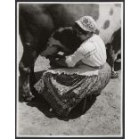 Tehénfejés szoknyában, népviseletben, Magyarország, vidék, utcakép, Horthy-korszak, helytörténet, 1930-s évek, Eredeti fotó, papírkép.  