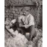 Fiatal fiú bárány gyapjúval, Magyarország, Horthy-korszak, vidék, tanya, helytörténet, 1935., 1930-s évek, Eredeti fotó, papírkép.  