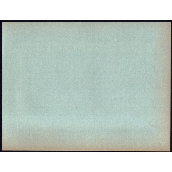 Nagyobb méret! A Magyar Királyi Államvasutak Fiúnevelő Intézetének és Árvaházának felavatása. Erdély, Szatmárnémeti. A résztvevők között híres nemesek, politikusok és egyházi vezetők,