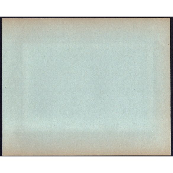 Nagyobb méret! Szatmárnémeti, Erdély, a Magyar Királyi Államvasutak Fiúnevelő Intézetének és Árvaházának felavatása, gyermekek felvonulnak.