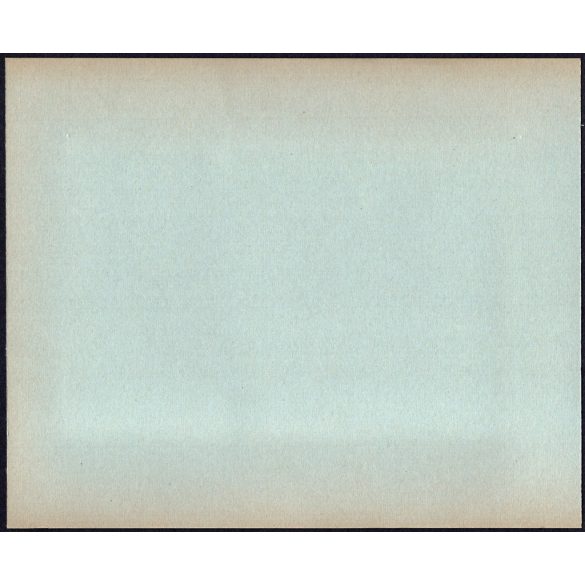 Nagyobb méret! A Magyar Királyi Államvasutak Fiúnevelő Intézetének és Árvaházának felavatása, Erdély, Szatmárnémeti. A résztvevők között híres nemesek, politikusok és egyházi vezetők,