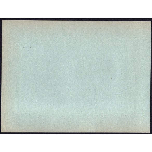 Nagyobb méret, Szatmárnémeti, Erdély, felvonulás a Magyar Királyi Államvasutak Fiúnevelő Intézetének és Árvaházának felavatásán. Horthy-korszak, 2. világháború, kitüntetések,