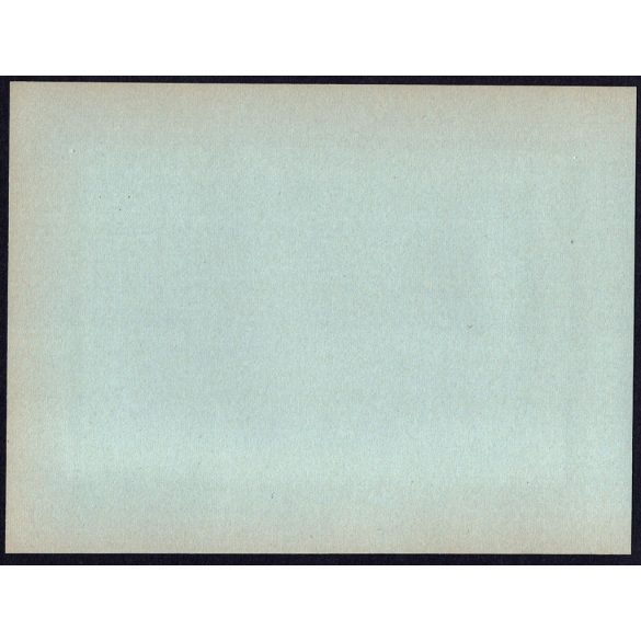 Nagyobb méret, Szatmárnémeti, Erdély, a Magyar Királyi Államvasutak Fiúnevelő Intézetének és Árvaházának felavatása. Horthy-korszak, 2. világháború, helytörténet