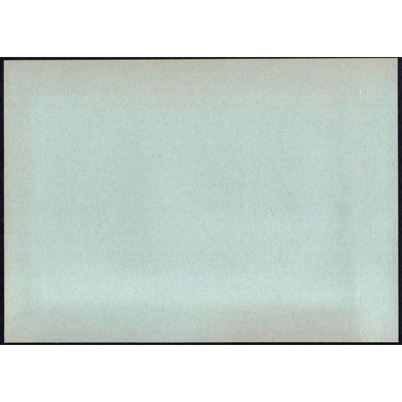 Nagyobb méret, Szatmárnémeti, Erdély, díszpáholy a Magyar Királyi Államvasutak Fiúnevelő Intézetének és Árvaházának felavatásán. A résztvevők között Horthy Istvánné (Edelsheim-Gyulai Ilona),