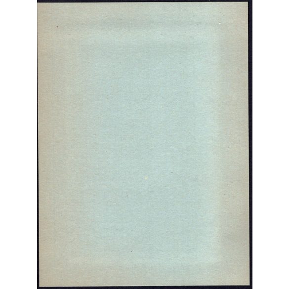 Nagyobb méret, Szatmárnémeti, Erdély, gyerekek a magyar címer előtt, felavatása a Magyar Királyi Államvasutak Fiúnevelő Intézetének és Árvaházának. Horthy-korszak, 2. világháború, 