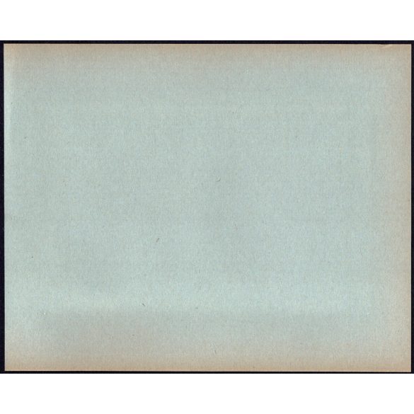 Nagyobb méret, Szatmárnémeti, Erdély, páholy a Magyar Királyi Államvasutak Fiúnevelő Intézetének és Árvaházának felavatásán. A résztvevők között híres nemesek, politikusok és egyházi vezetők