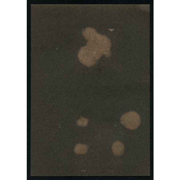 Fleischhacker főhadnagy, ezredsegédtiszt, + magyar katonák a kútnál, egyenruha, 1. világháború, Serafincze (Horodenka), Ukrajna, 1910-es évek, Két darab eredeti, kartonra ragasztott fotó, papírkép.  