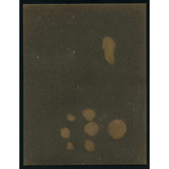 Magyar katonák a fronton, Dr. Horváth Zoltán és Dr. Szántó E. , egyenruha, 1. világháború, Horodenka, Ukrajna, 1910-es évek, Két darab eredeti, kartonra ragasztott fotó, papírkép. 