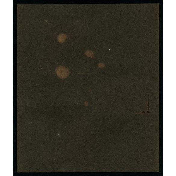 Sávoly János ezredes, dandárparancsnok portréja, magyar katonák a fronton, egyenruha, 1. világháború, Horodenka, Ukrajna, 1910-es évek, Eredeti, kartonra ragasztott fotó, papírkép. 