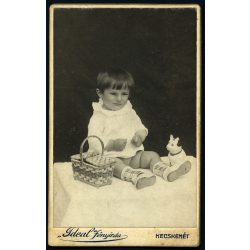   „Ideal” fényirda, Kecskemét,  kisgyerek portréja, játék, kosár, cica. macska, monarchia, 1890, 1890-es évek, Eredeti CDV, vizitkártya fotó gyönyörű hátlappal.  