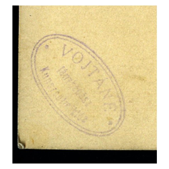 Vojtáné fényképész, Kunszentmiklós, családi kép a kertben, magyar katonatiszt egyenruhában. Horthy-korszak, helytörténet, 1920-as évek, Eredeti pecséttel jelzett fotó, papírkép. 