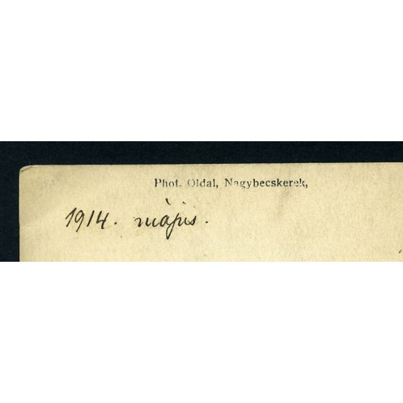 Oldal műterem, Nagybecskerek, Vajdaság, elegáns kisfiú matrózblúzban, faragott díszes karosszék, monarchia, helytörténet, 1914, 1910-es évek, Eredeti jelzett fotó, papírkép.  