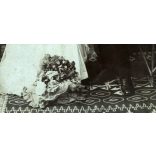 Nagyobb méret, Halász műterem, Sátoraljaújhely, esküvő, menyasszony, vőlegény, bajusz, virág, monarchia, 1900-as évek, Eredeti kabinetfotó gyönyörű szecessziós hátlappal, felül törésnyom. 