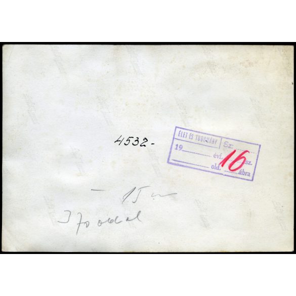 Nagyobb méret, trolibusz, Budapest, Ganz gyári fotó, T100, jármű, közlekedés, Horthy-korszak, 1930-as évek, Eredeti fotó, papírkép, felülete kopott, foltos. 