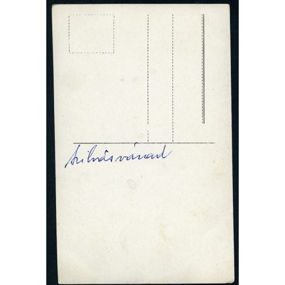 Nyaraló a hegyek között, Szilvásvárad, faház, nyaraló, Bükk, Heves megye, monarchia, helytörténet 1910-es évek, Eredeti fotó, papírkép.   