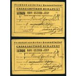 Friedl Gertrúd és Friedl Gusztáv havi uszodajegye a Császár Fürdőbe, Budapest, két darab sorszámozott fényképes igazolvány, fürdőruha, Horthy-korszak,  1928, 1920-as évek. Két darab eredeti fotó, papírkép két darab igazolványhoz csatolva.  