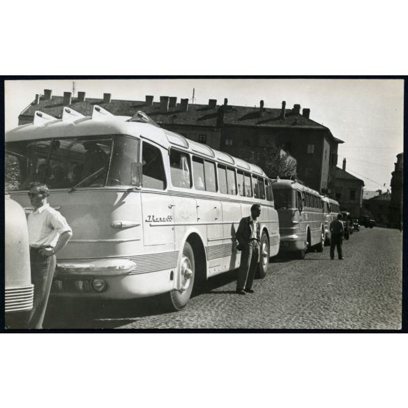 Korai Ikarus 55-ös buszok, Mávaut, jármű, közlekedés, szocializmus, 1950-es évek, Eredeti fotó, papírkép. 