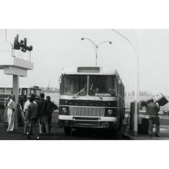 Export Ikarus csuklós autóbuszok egy benzinkúton, Egyiptom, jármű, közlekedés, 1970-es évek, Eredeti fotó, papírkép.   