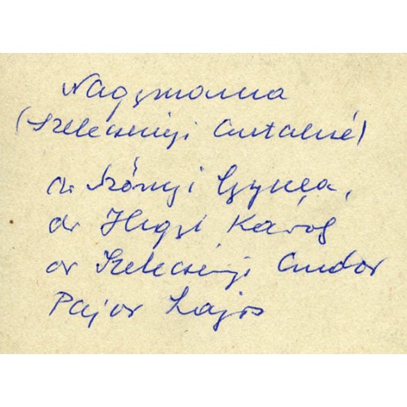 Úri társaság, magyar katonatiszt egyenruhában, Szelecsényi Antalné, dr. Szőnyi Gyula, dr. Hegyi Károly, dr. Szelecsényi Andor ügyvéd, Pajor Lajos, érdemrend, 1930-as évek, Eredeti fotó, hátulján feliratozott papírkép.   