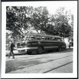 Ikarus 55 autóbusz, városi kivitel, busz, jármű, közlekedés, szocializmus, 1957, 1950-es évek, Eredeti fotó, papírkép.   