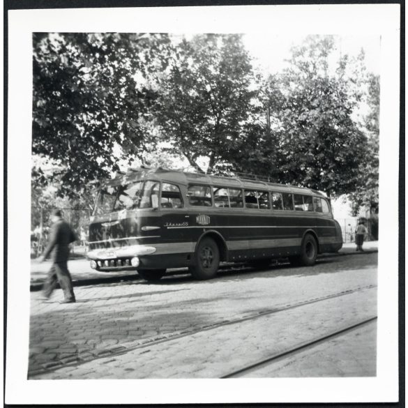 Ikarus 55 autóbusz, városi kivitel, busz, jármű, közlekedés, szocializmus, 1957, 1950-es évek, Eredeti fotó, papírkép.   