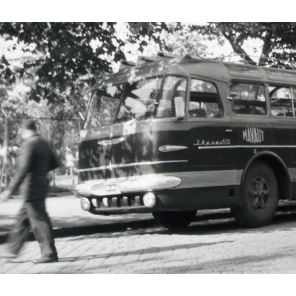 Ikarus 55 autóbusz, városi kivitel, busz, jármű, közlekedés, szocializmus, 1957, 1950-es évek, Eredeti fotó, papírkép.   